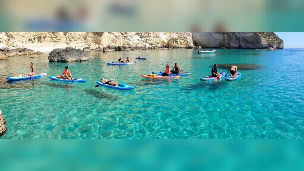 Photo of Others in Arenella