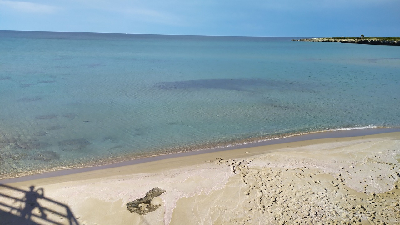 Photo of Others in Arenella