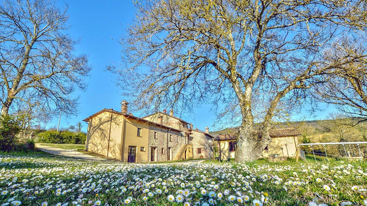 Photo of Others in Teverina di Cortona