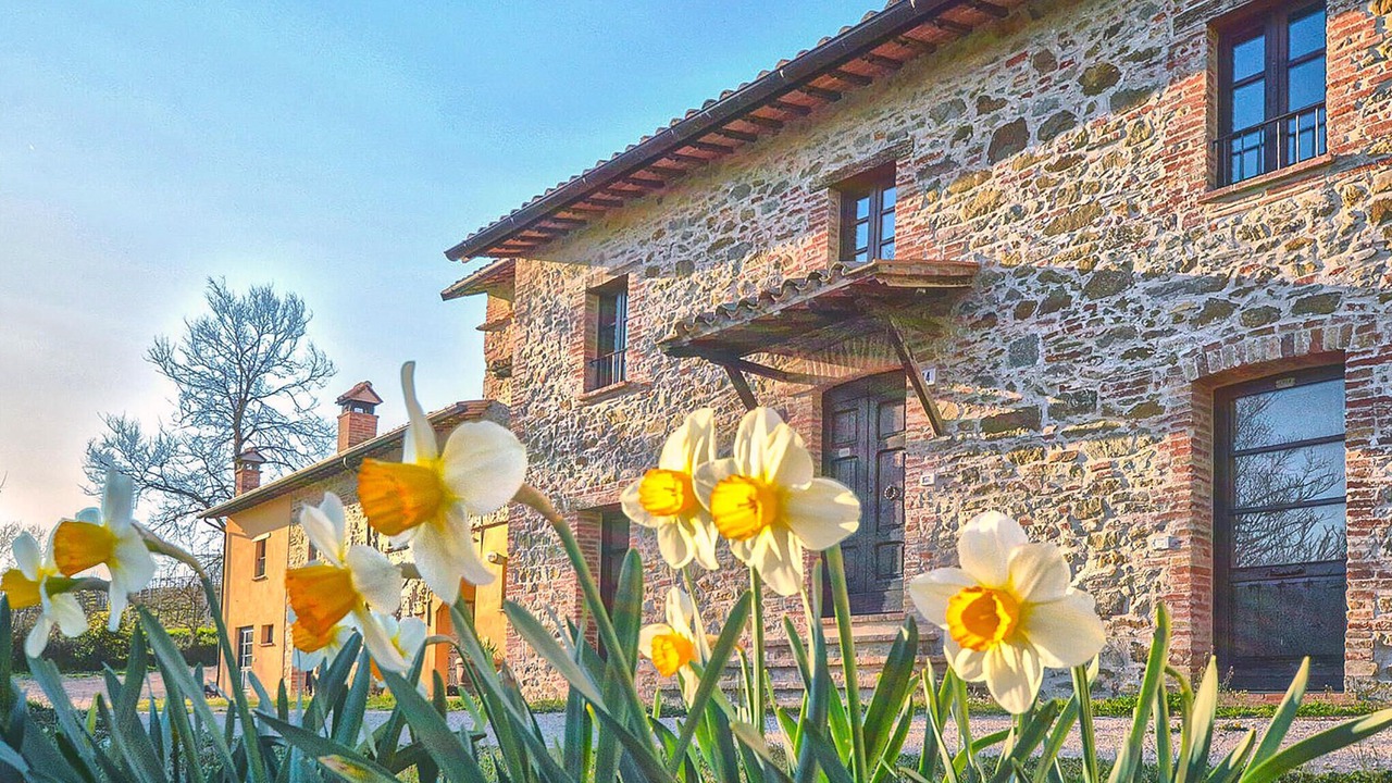 Photo of Others in Teverina di Cortona
