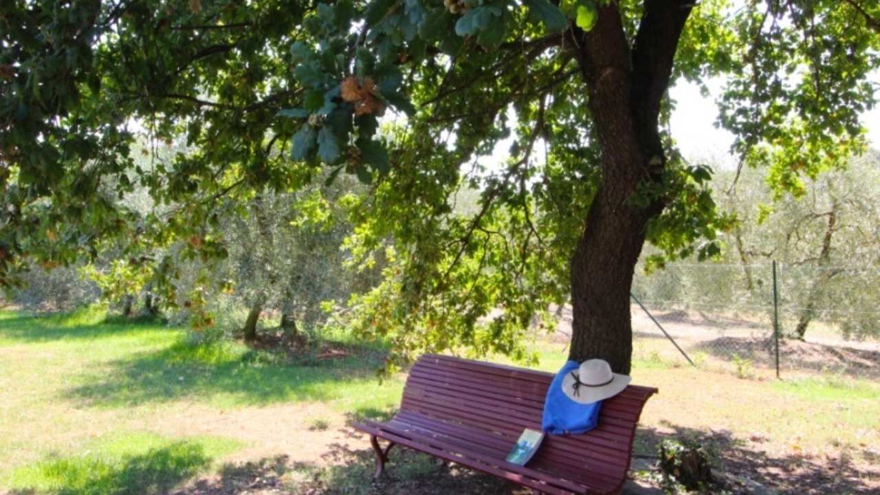 Photo of Outdoor in Le Piazze