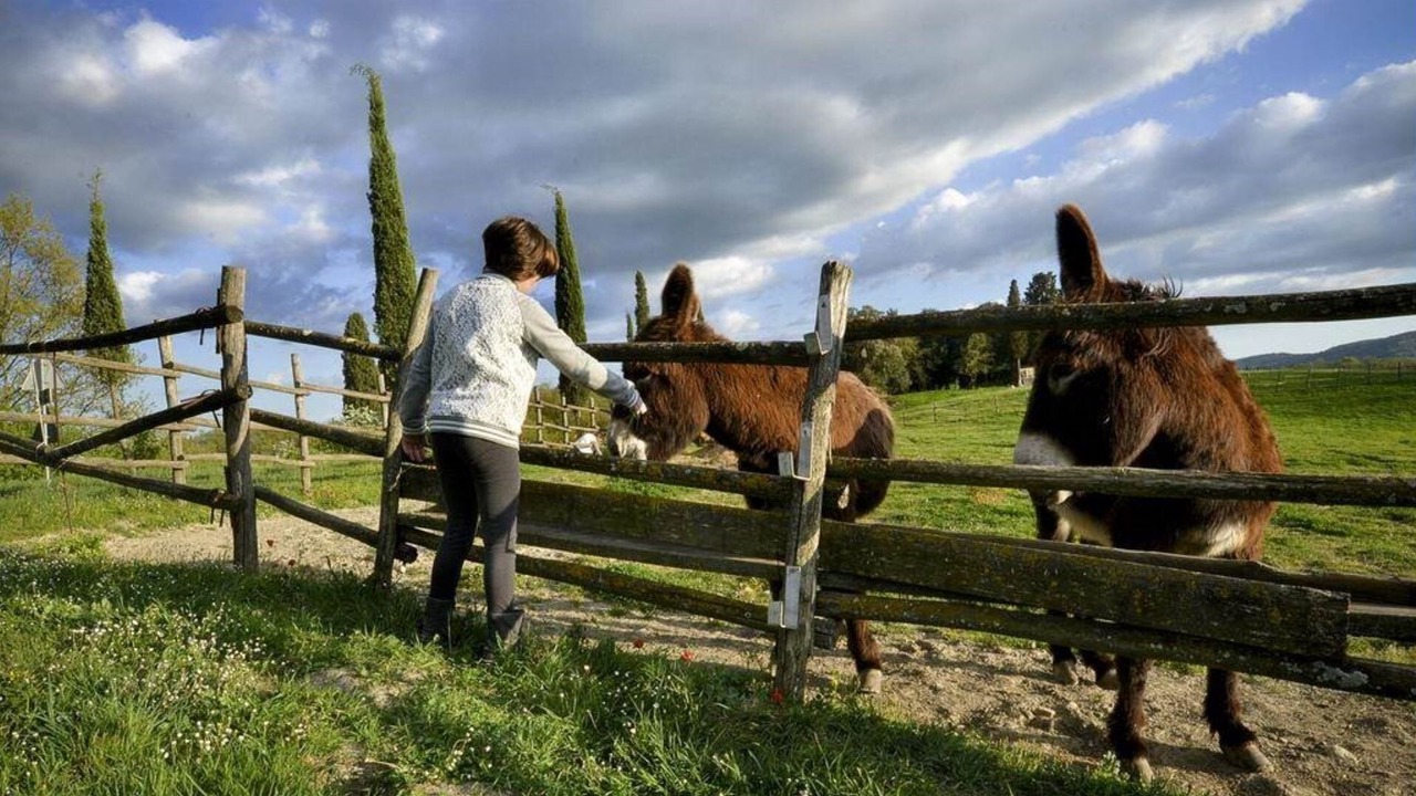 Photo of Others in Monteroni d'Arbia