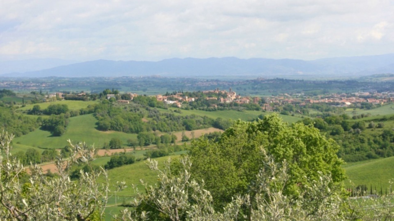 Photo of Others in Torrita di Siena