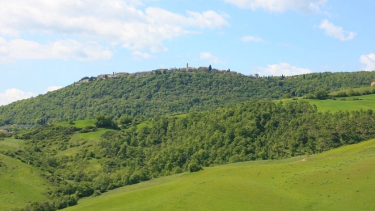 Photo of Others in Torrita di Siena