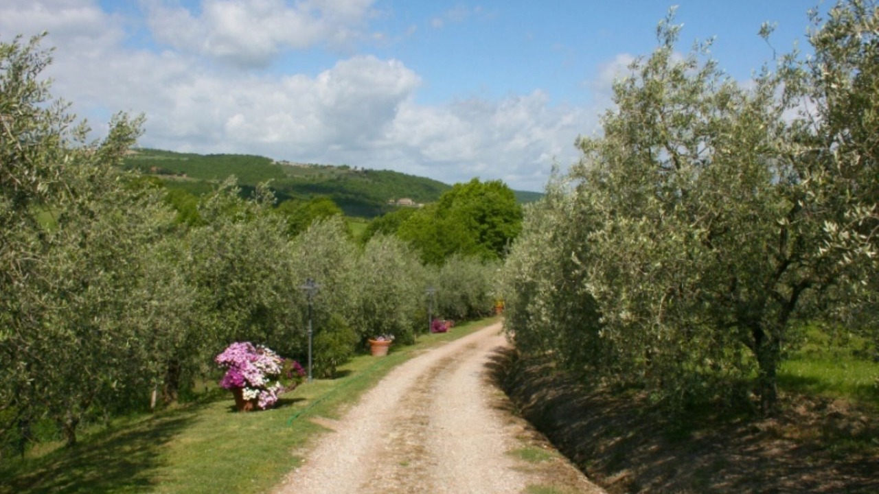 Photo of Outdoor in Torrita di Siena