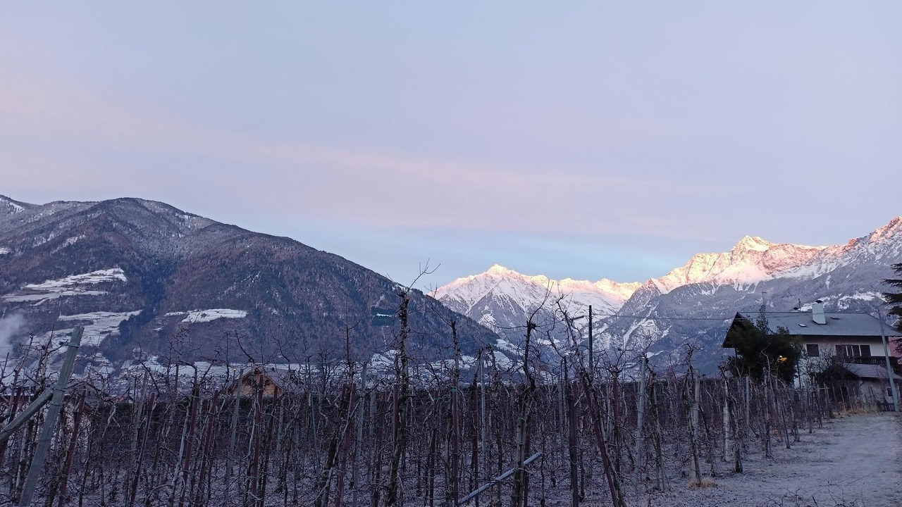 Photo of Others in Merano
