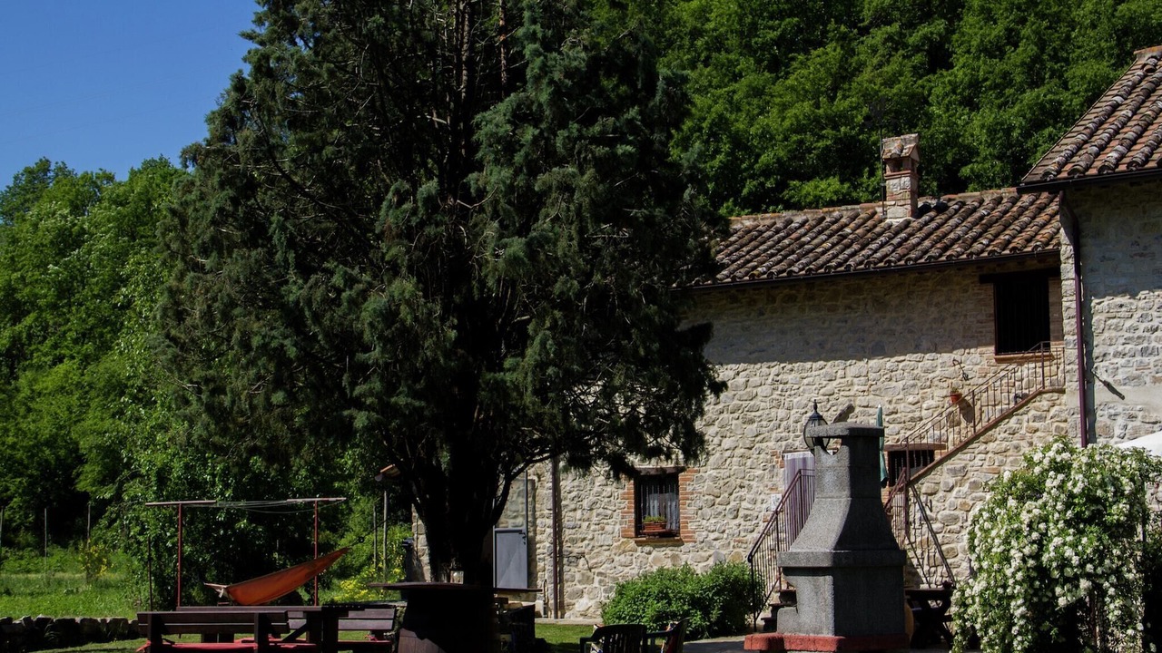 Photo of Outdoor in Piegaro