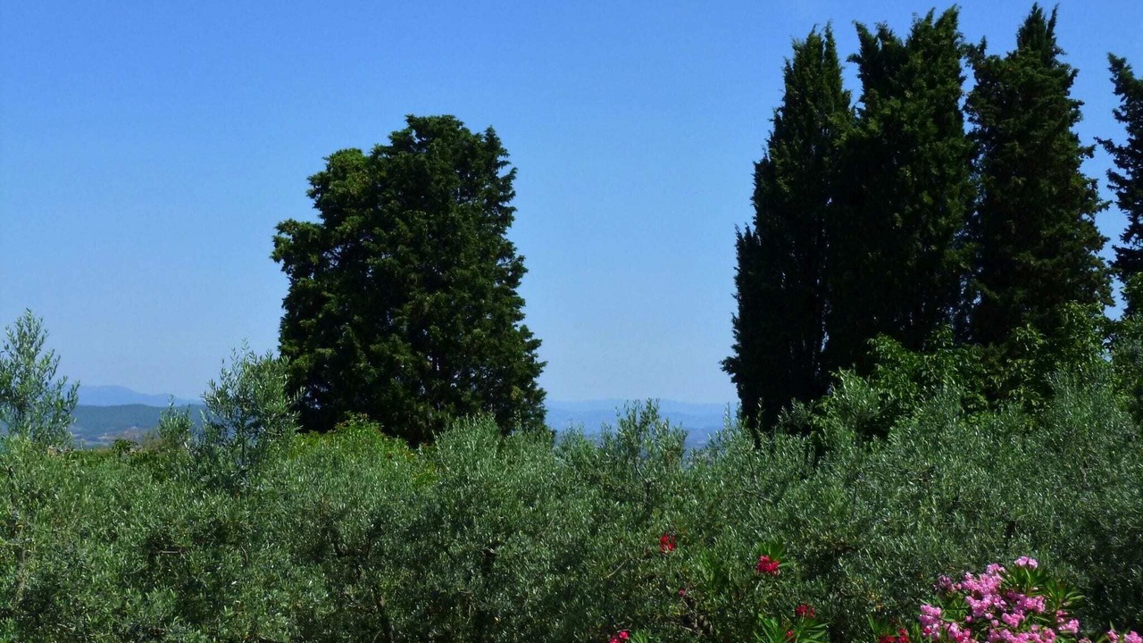 Photo of Others in Figline e Incisa Valdarno