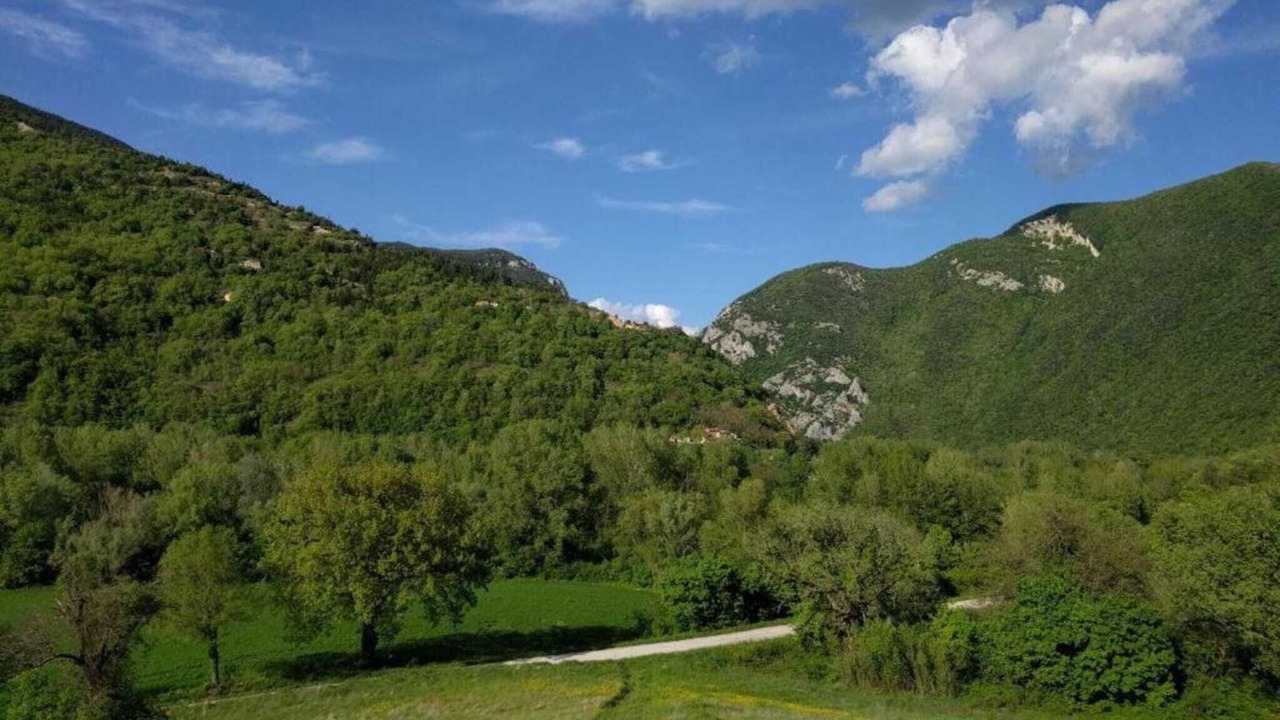 Photo of Others in Cagli