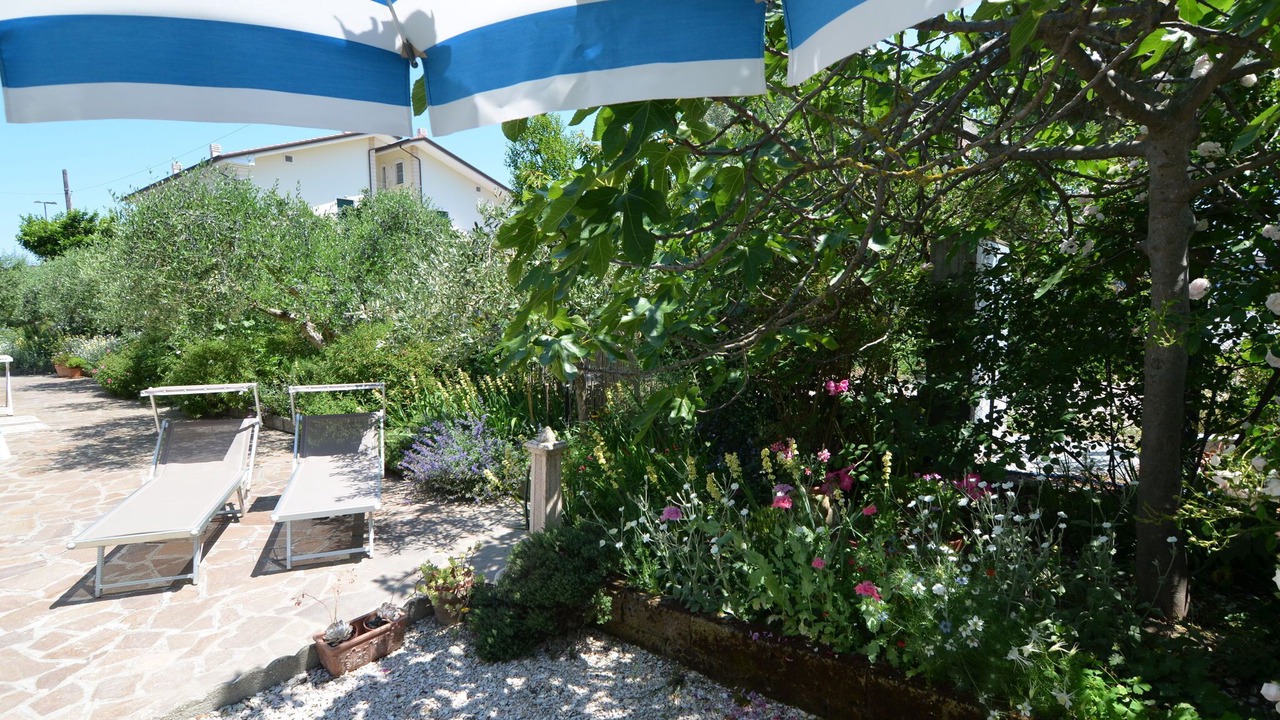 Photo of Outdoor in Gatteo a Mare