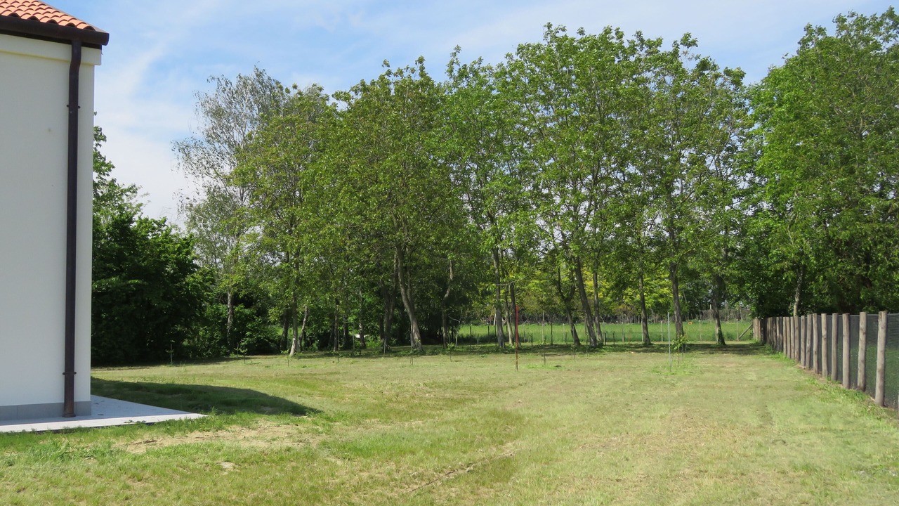 Photo of Outdoor in Malcontenta