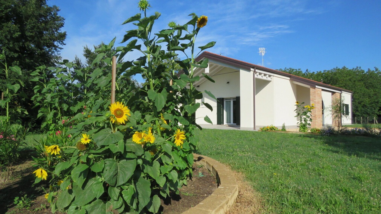 Photo of Outdoor in Malcontenta