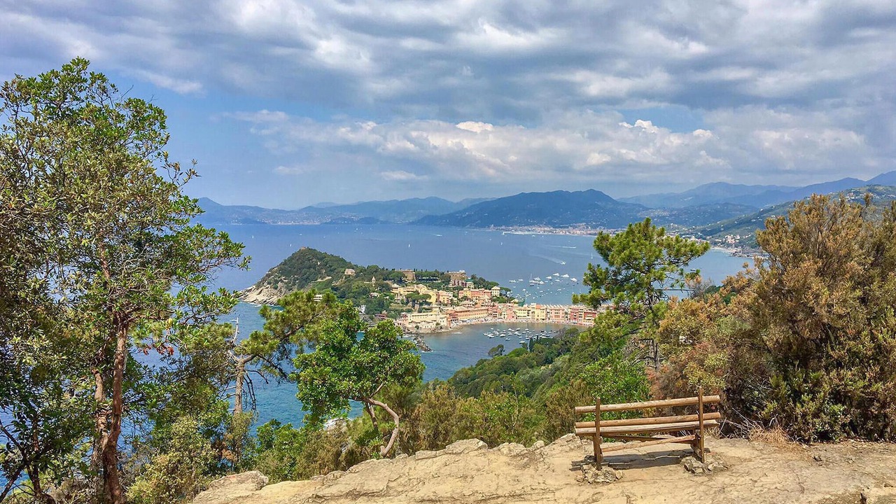 Photo of Others in Rapallo