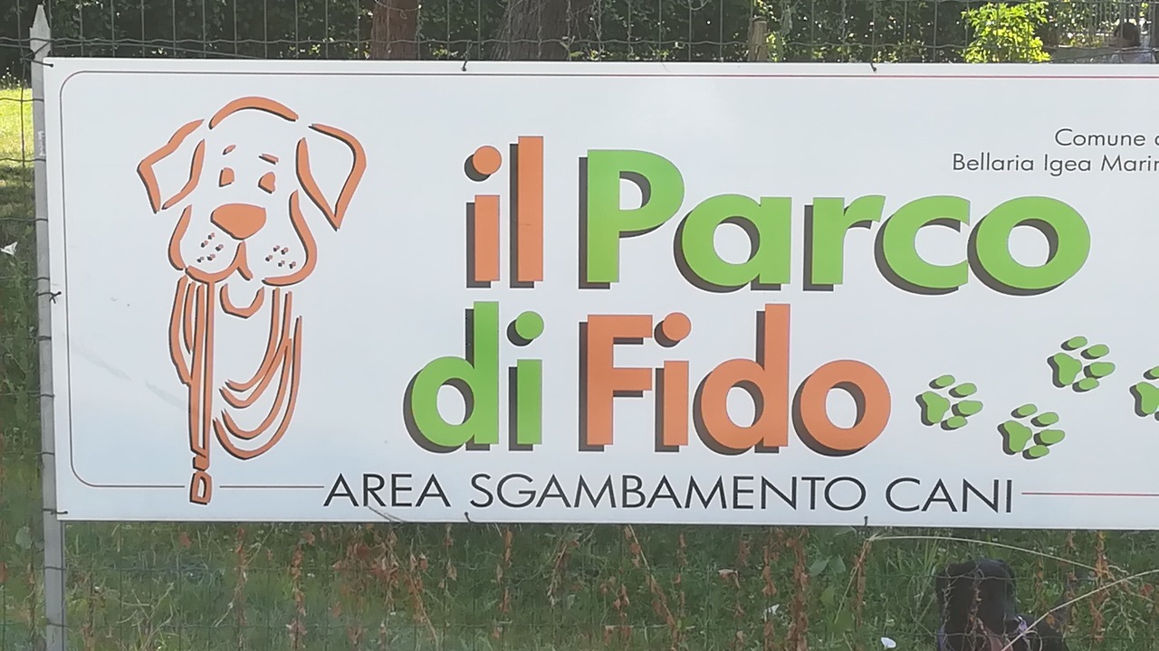 Photo of Outdoor in Igea Marina