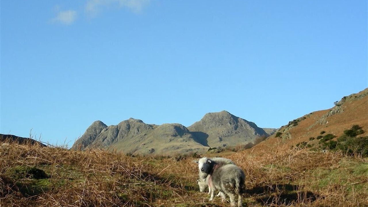 Photo of Others in Chapel Stile