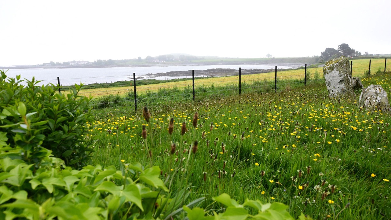 Photo of Outdoor in Portaferry