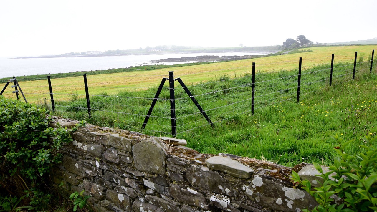 Photo of Outdoor in Portaferry