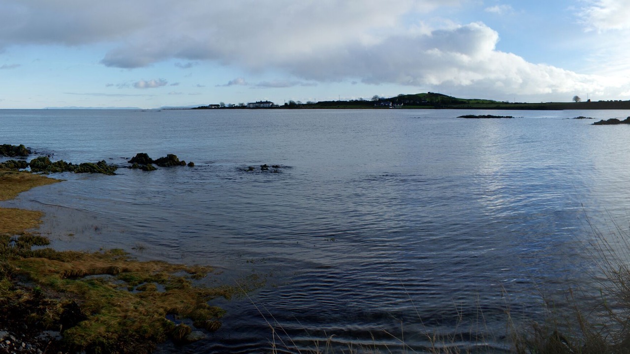 Photo of Others in Portaferry