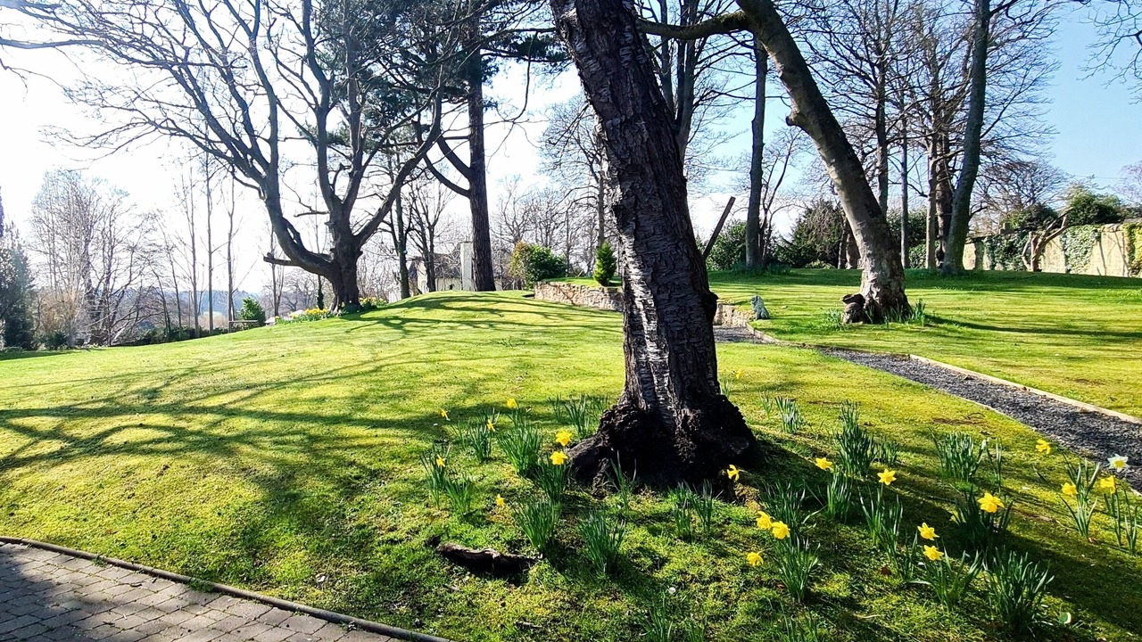 Photo of Outdoor in Inveresk