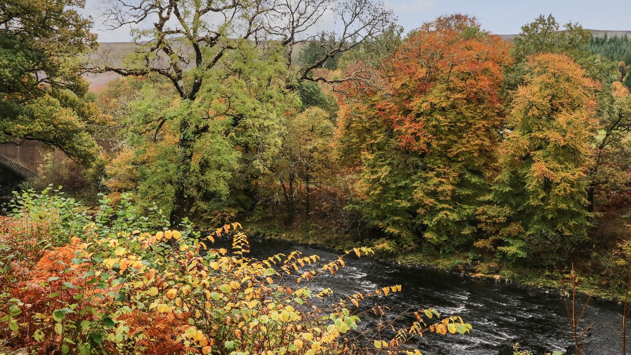 Photo of Outdoor in Invergarry