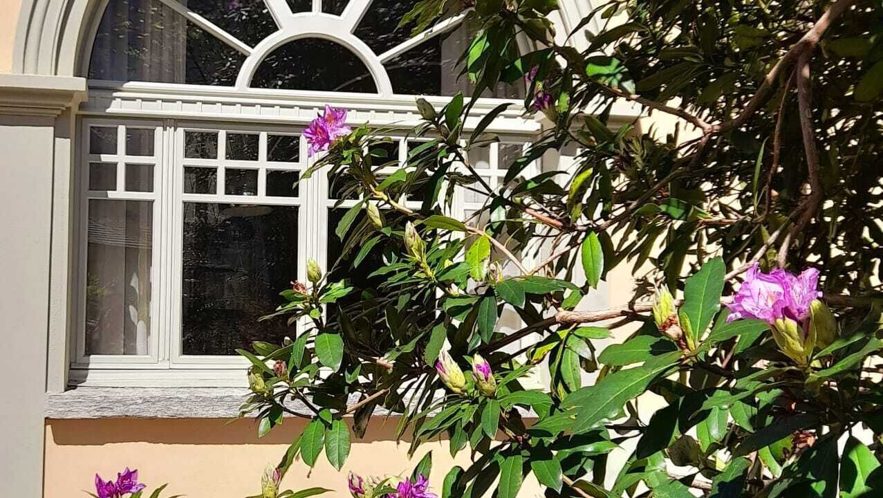 Photo of Outdoor in Premosello Chiovenda