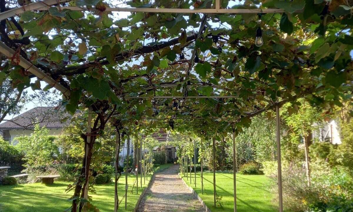 Photo of Outdoor in Premosello Chiovenda