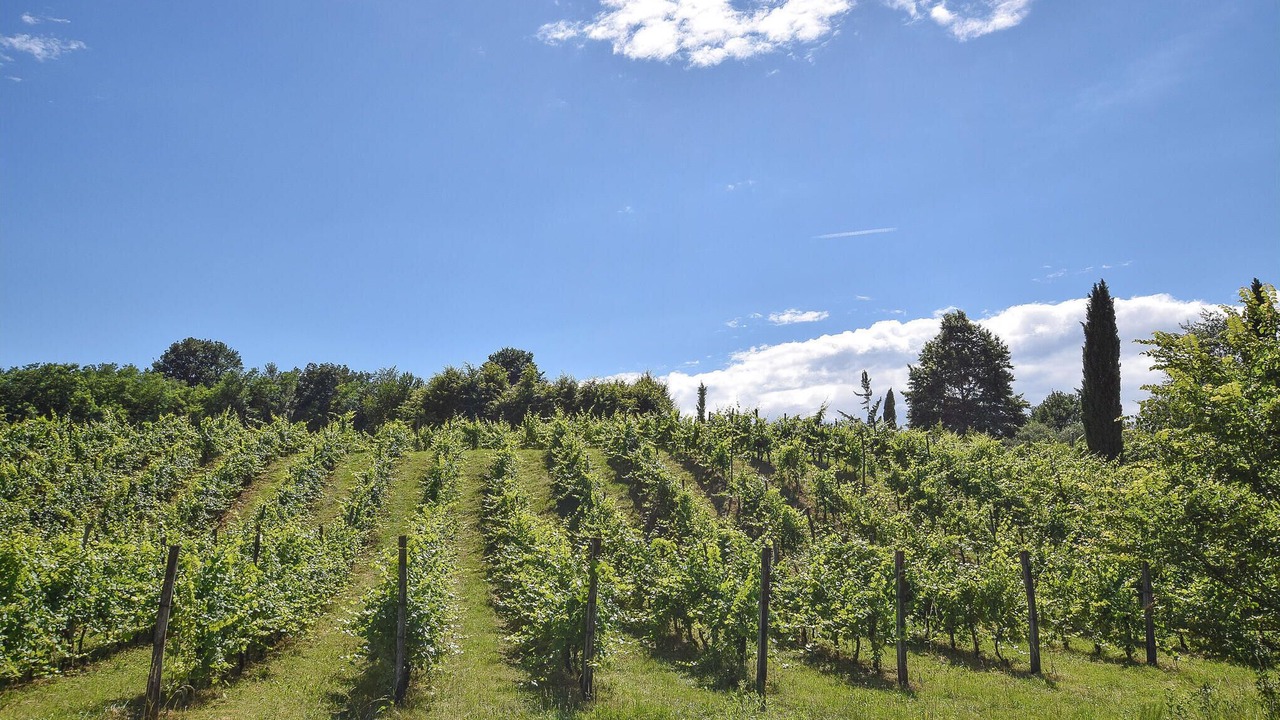 Photo of Outdoor in Mussolente
