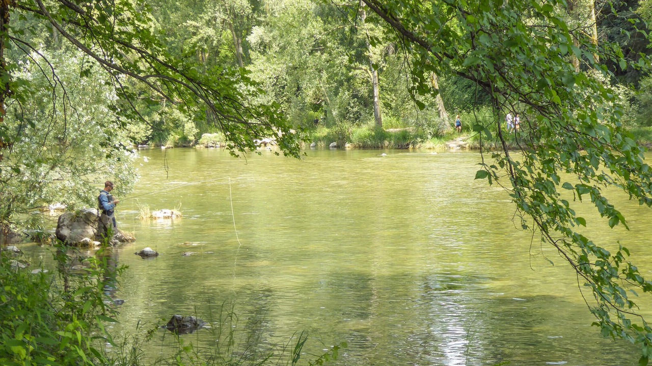 Photo of Others in Mussolente