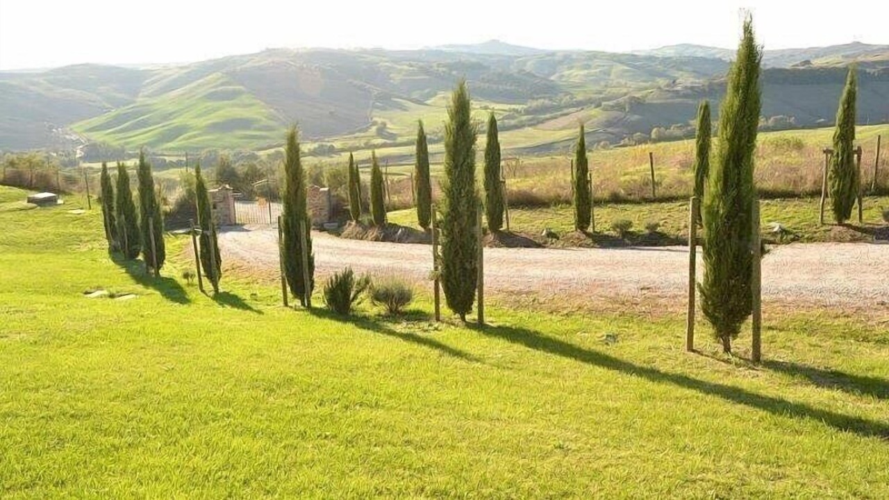 Photo of Outdoor in Torre A Castello