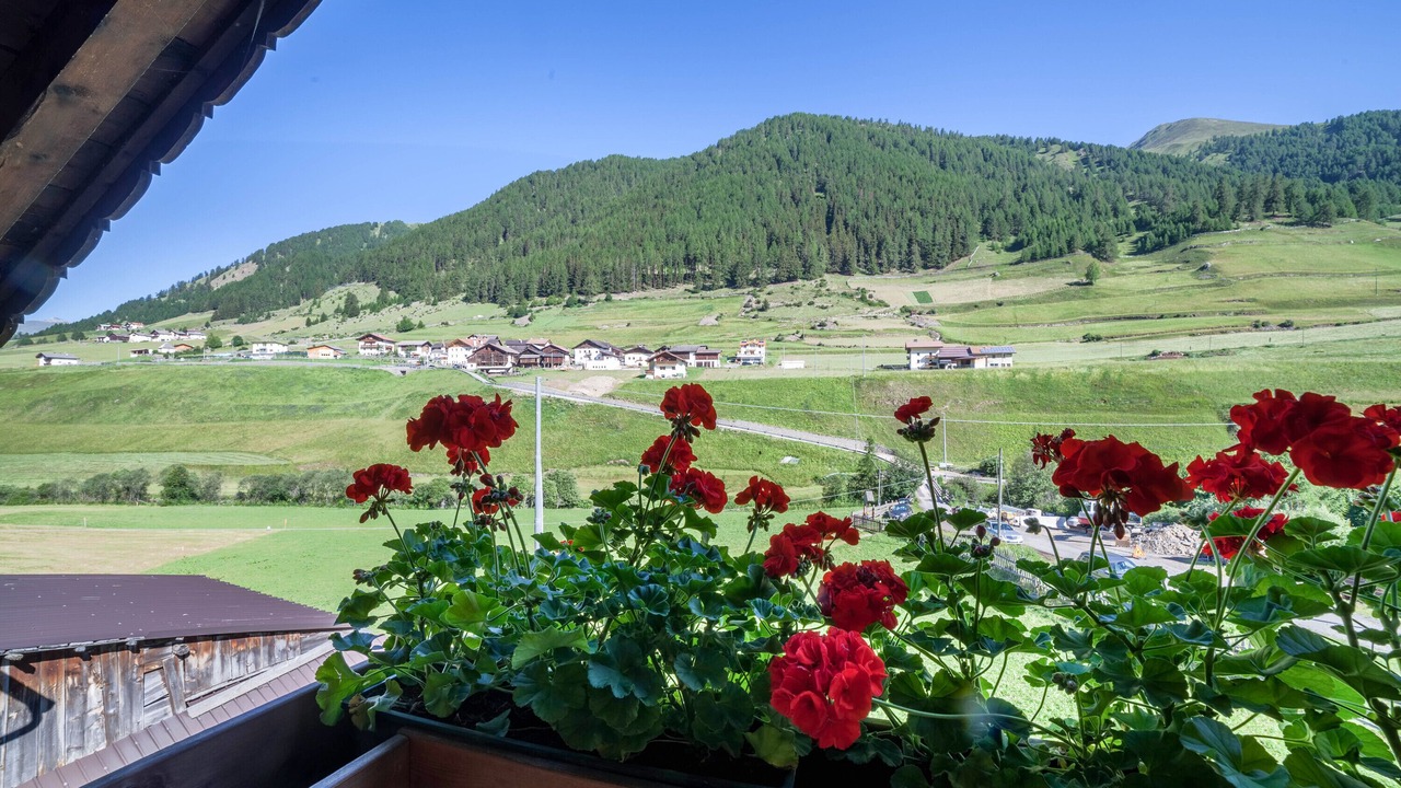 Photo of Outdoor in Curon Venosta