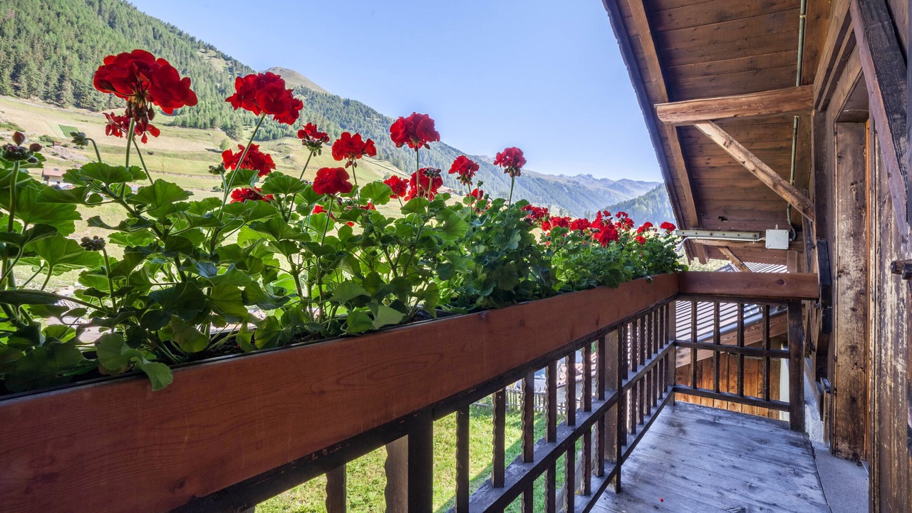 Photo of Outdoor in Curon Venosta