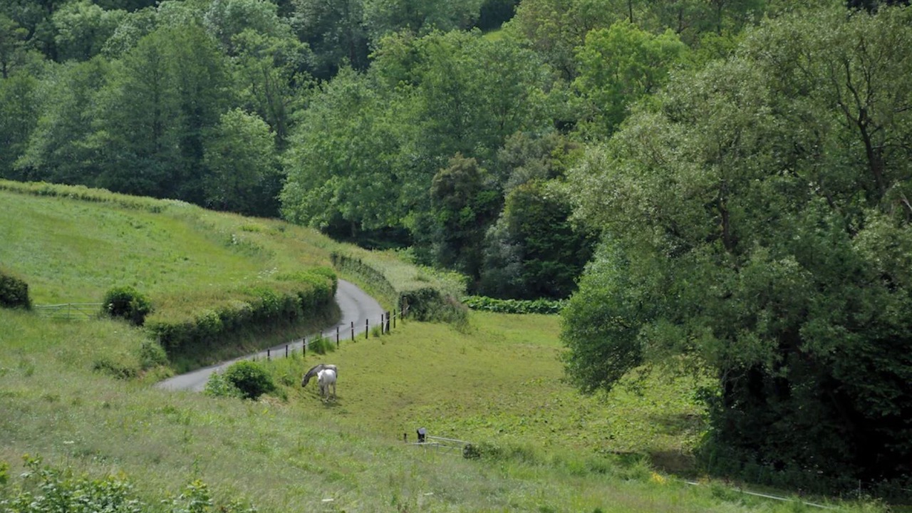 Photo of Others in Belluton