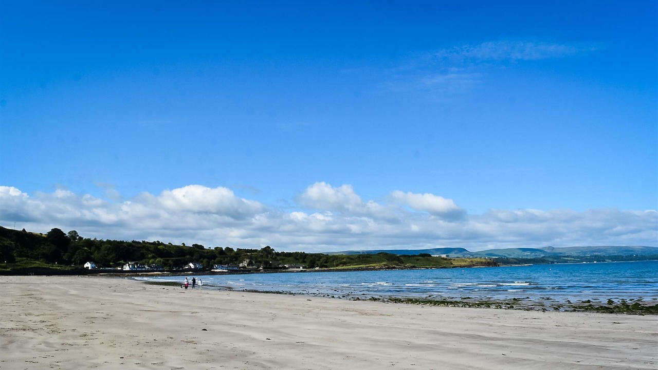 Photo of Others in Islandmagee