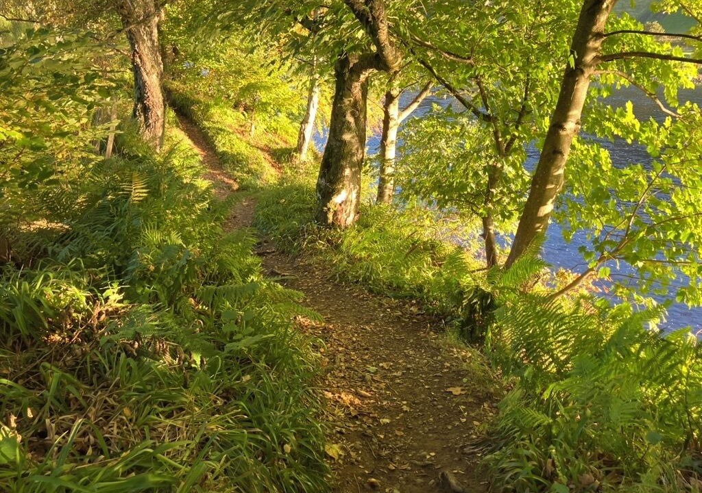 Photo of Others in Birnam