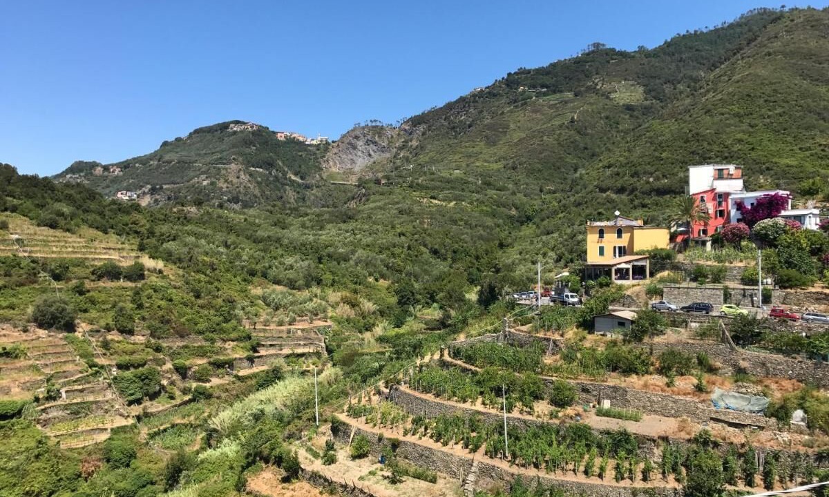 Photo of Others in Corniglia