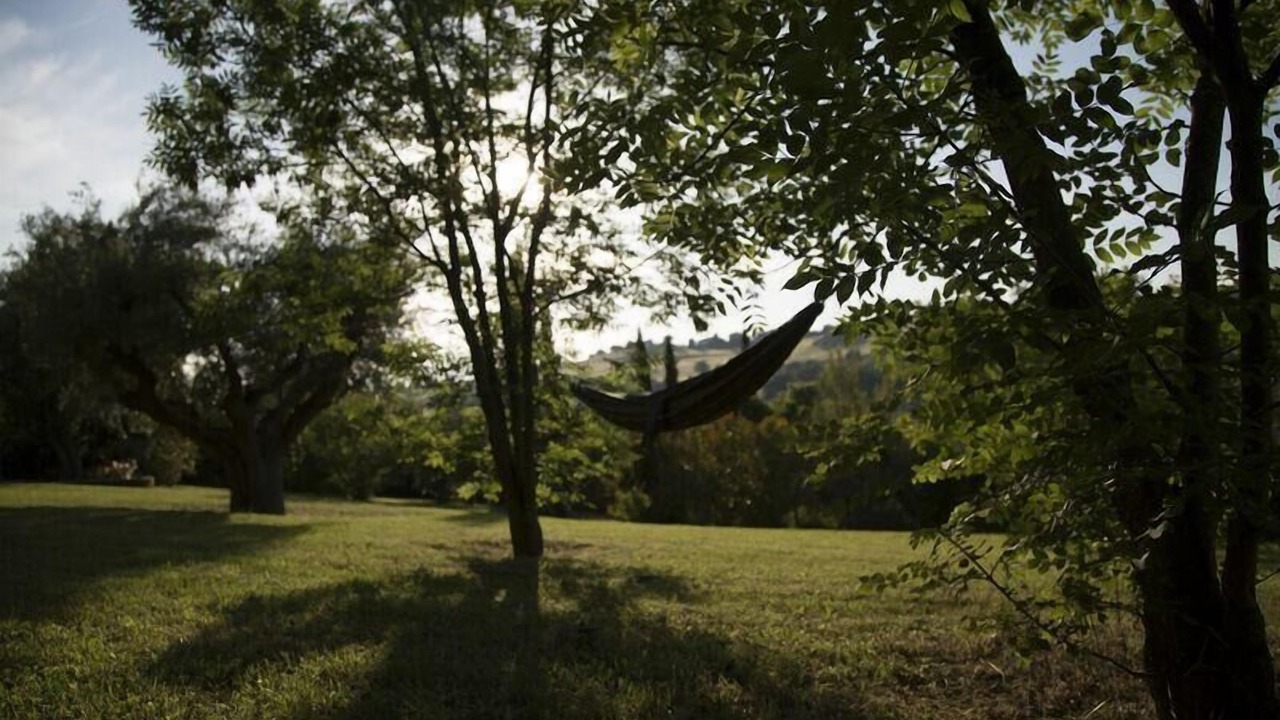 Photo of Outdoor in Ostra