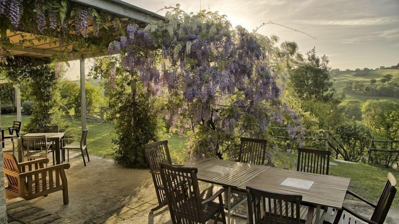 Photo of Outdoor in Ostra