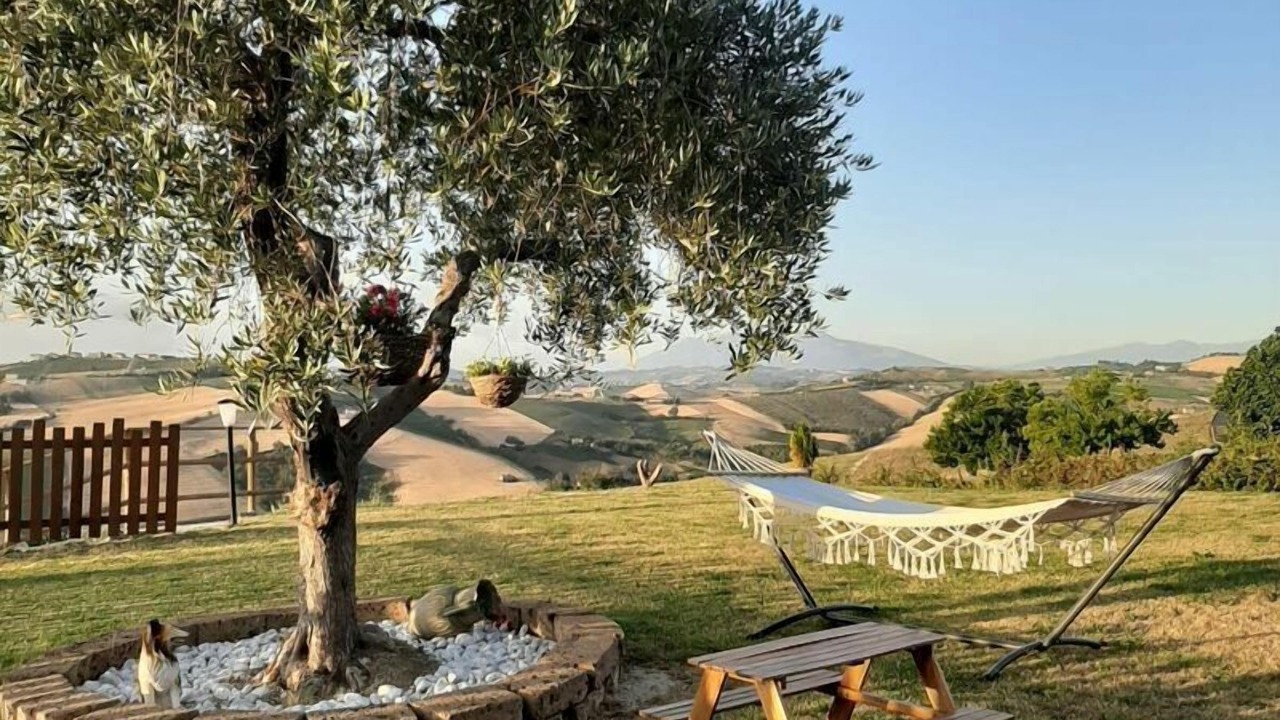 Photo of Outdoor in Carassai