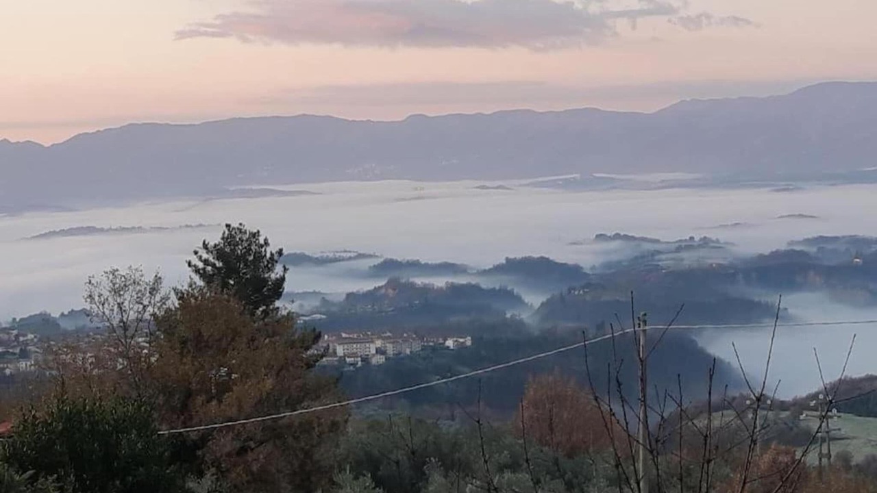 Photo of Others in Ponte di Gabbiano