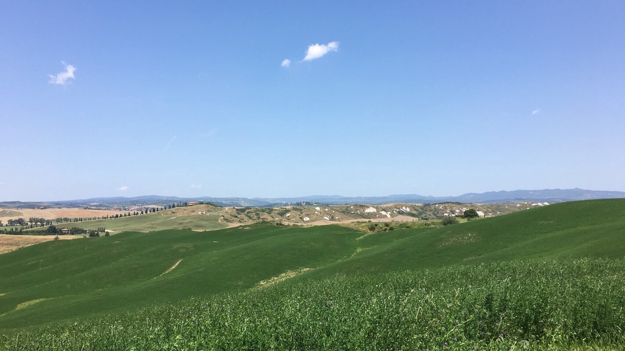 Photo of Others in Ponte di Gabbiano