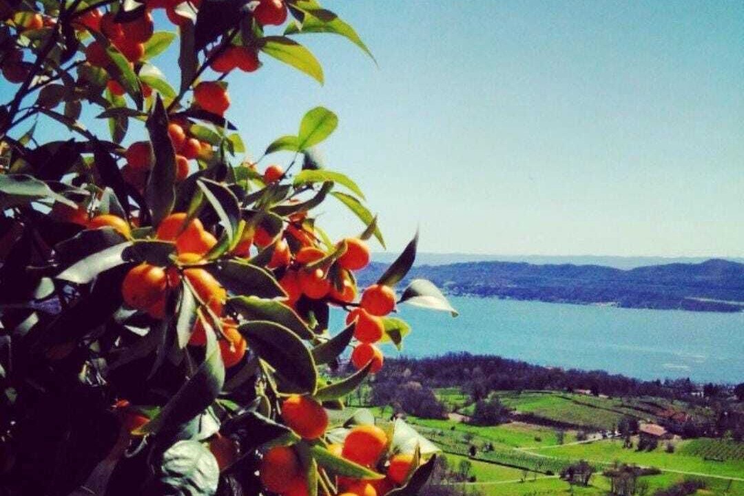 Photo of Outdoor in Zimone