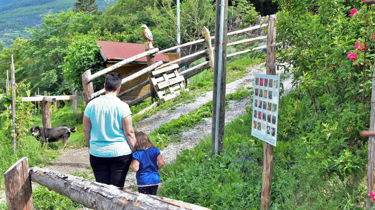 Photo of Outdoor in Sluderno