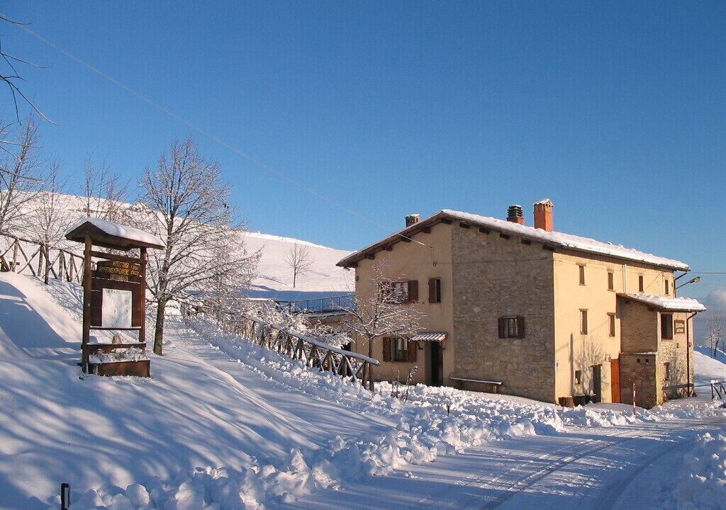 Photo of Outdoor in Montemonaco