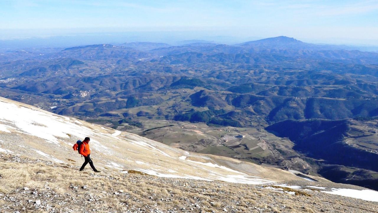 Photo of Others in Montemonaco