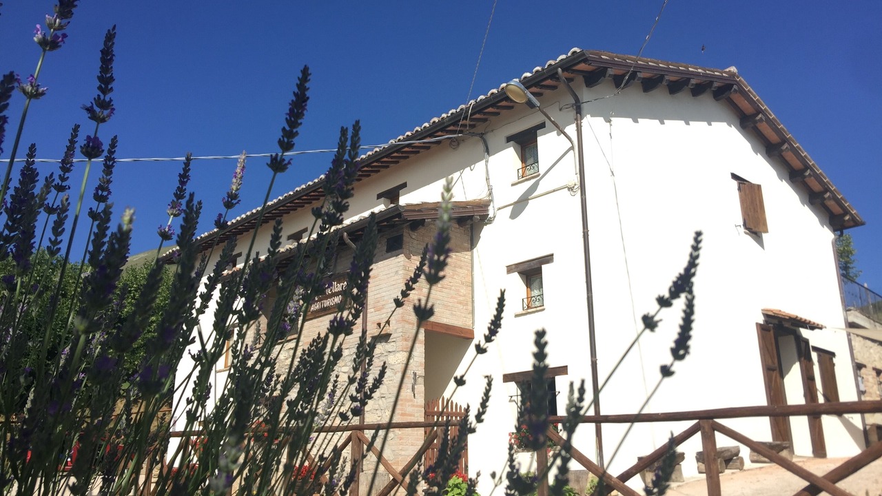Photo of Outdoor in Montemonaco