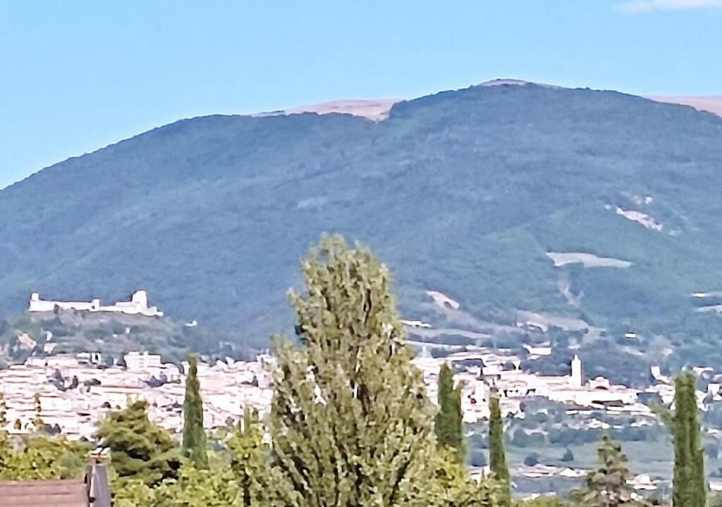 Photo of Others in Bastia Umbra