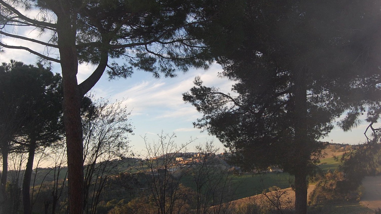 Photo of Others in Polverigi