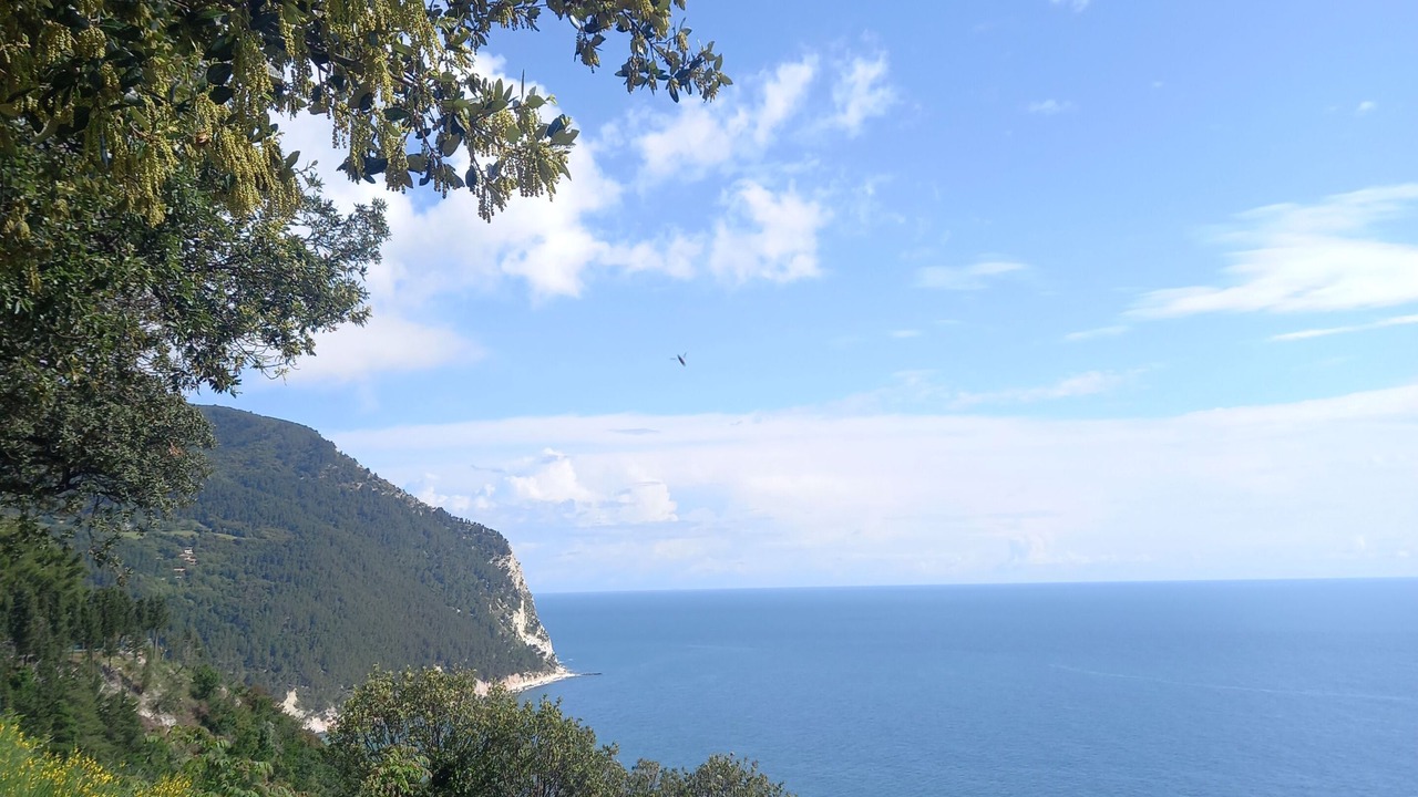 Photo of Others in Polverigi
