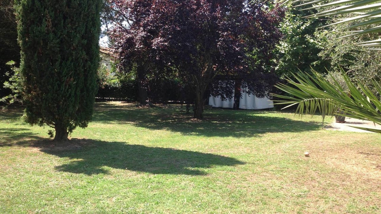 Photo of Outdoor in Pisa