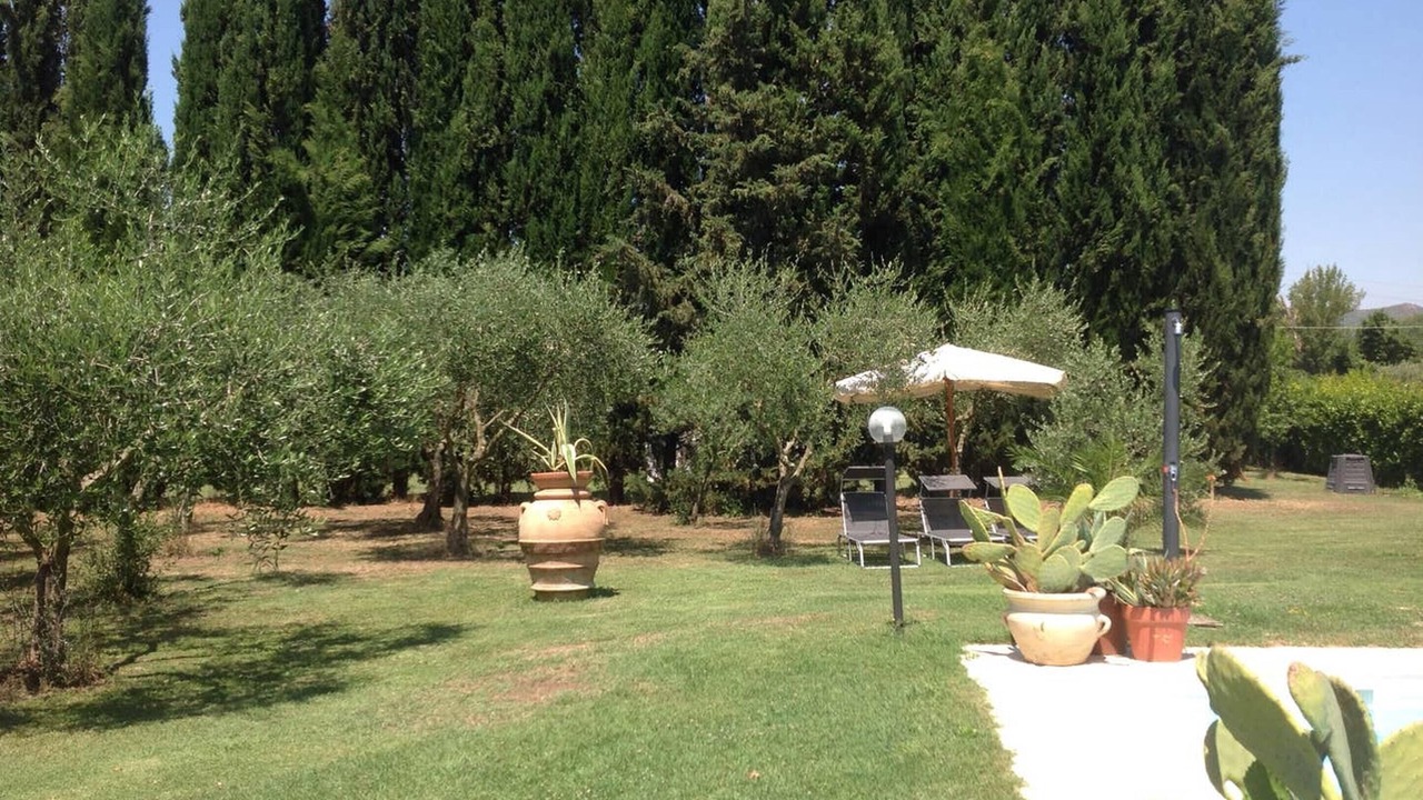 Photo of Outdoor in Pisa